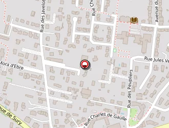 Carte de Epi Chic Coiffure à Bonson