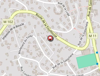 Carte de Granjon Aurélie à Saint-héand