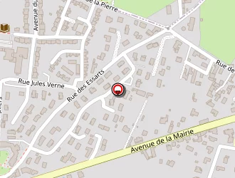 Carte de Cesarini Vincent à Bonson