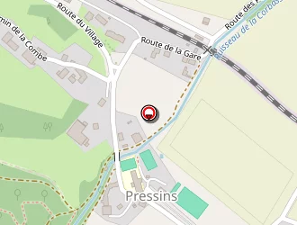Carte de Mairie à Pressins