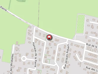 Carte de Serge Michel à Bonson