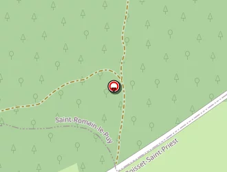 Carte de Bergerie De La Combe Au Loup à Boisset-saint-priest