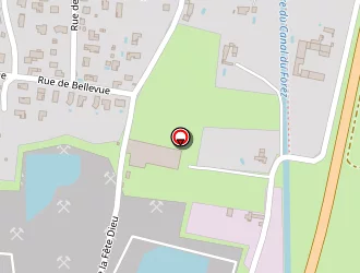 Carte de Forez Mat à Sury-le-comtal