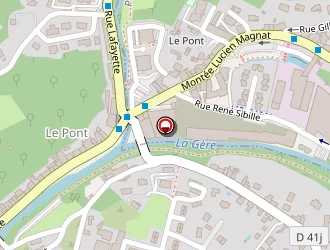 Carte de Tezgin Osman à Vienne