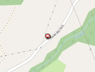 Carte de Dailloux Jérôme à Saint-floret