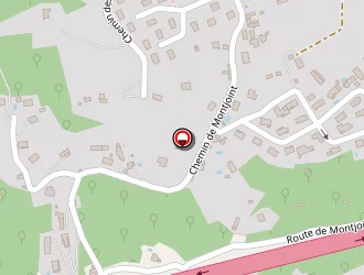 Carte de Dal Molin Christophe à Rive-de-gier