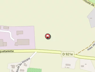 Carte de Fleur De Courge à Domessin