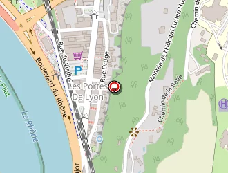 Carte de Oriol Amandine à Vienne