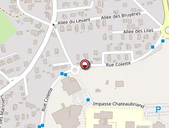 Carte de Moulin Robert à Andrézieux-bouthéon