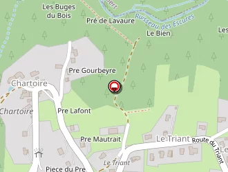 Carte de Veyret Guy à Saint-ferréol-des-côtes