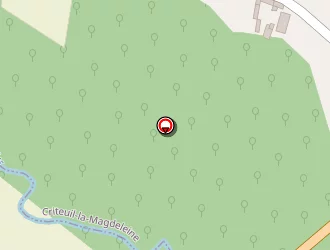 Carte de Rideau Patrick à Lachaise