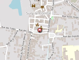 Carte de Arbre En Question à Sury-le-comtal
