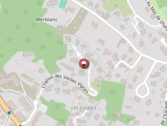 Carte de Dg Formation à Vienne