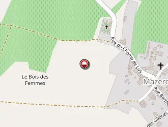 Carte de Bouchet Michel à Mazerolles