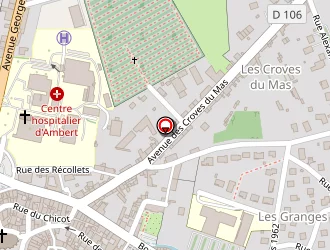 Carte de Chassagne Jean-claude à Ambert