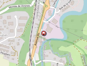 Carte de Lamas Annie à Cognin