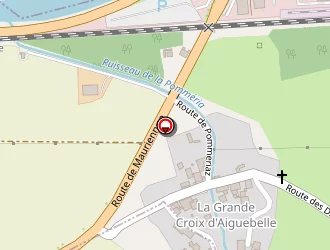 Carte de Juventin Danielle à Bourgneuf