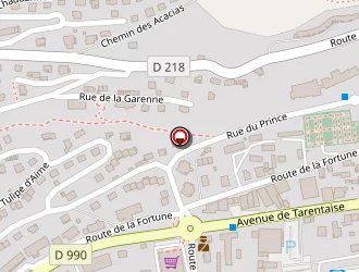 Carte de Aime Immobilier à Aime