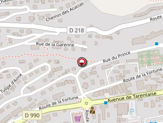 Carte de Weldom Duchosal  Adhérent à Aime