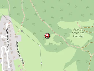 Carte de Renard Sylvain à Challes-les-eaux