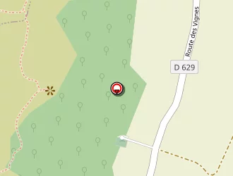 Carte de Deniziot David à Saint-vincent