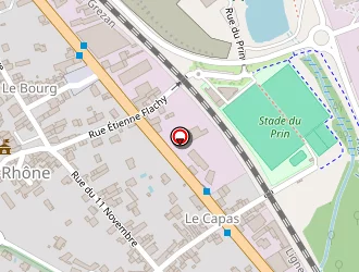 Carte de Nf Electricité à Loire-sur-rhône