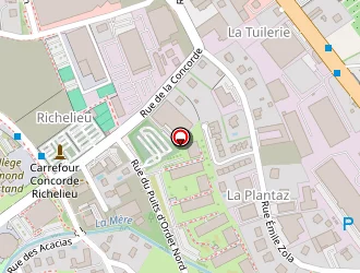 Carte de Mécan Auto à Ravoire (la)