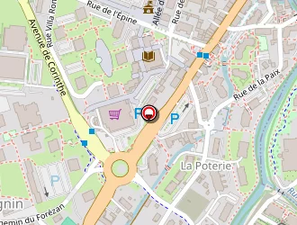 Carte de Savoie Service à Cognin