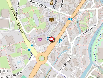 Carte de Espace 18 Les Sources à Cognin