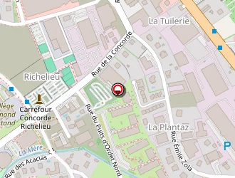 Carte de Stéllini Charpente à Ravoire (la)