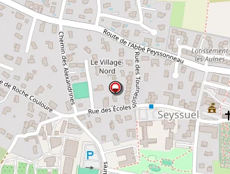 Carte de Mairie à Seyssuel