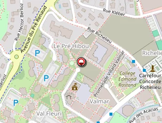 Carte de Steinmetz Audrey à Ravoire (la)