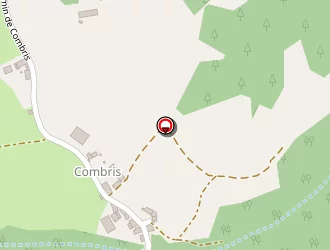 Carte de Mathevon Bernard à Ambert