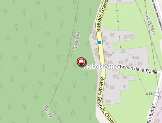 Carte de Mairie à Rognaix