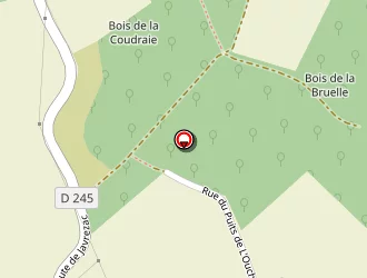 Carte de Neaud Patrick à Cozes