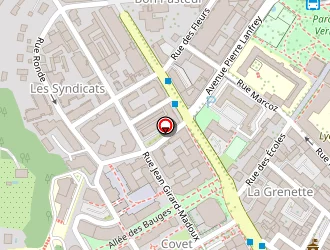 Carte de Fortuna à Chambéry