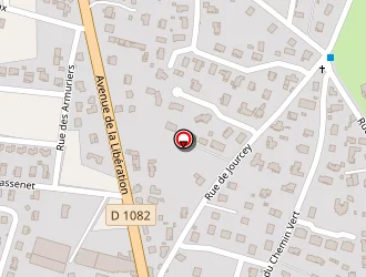 Carte de Fayard Patricia à Veauche