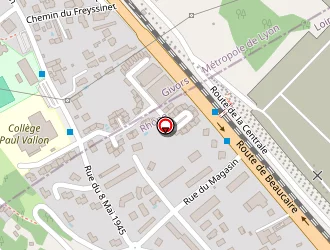 Carte de Ray Man à Loire-sur-rhône