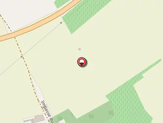 Carte de Sur Un Arbre Perché à Pons