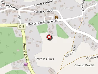 Carte de Mérité Cécile à Murol