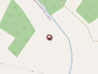 Carte de Camus David à Saint-andré-de-lidon