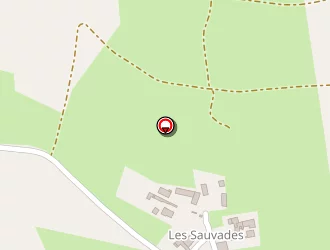 Carte de Beauté Des Ongles à Flat