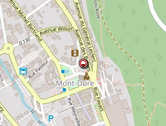 Carte de Boule De Neige à Mont-dore