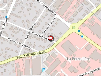 Carte de Chubb Sicli à Saint-alban-leysse