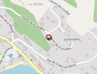 Carte de Richard Patrick à Chambon-sur-lac