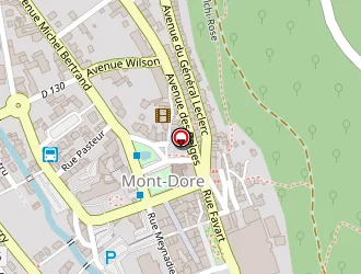 Carte de La Bourree à Mont-dore