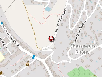 Carte de Jj Mancini à Chasse-sur-rhône