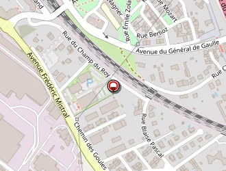 Carte de Nicoletti Salvatoré à Chasse-sur-rhône