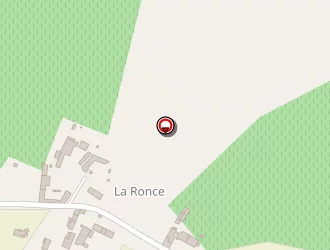 Carte de F.t.d. à Saint-martial-sur-né