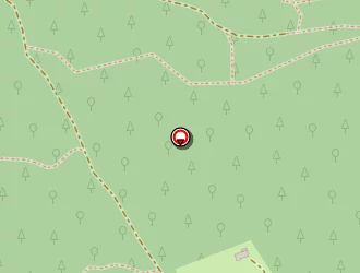 Carte de Parler Racines à Sers